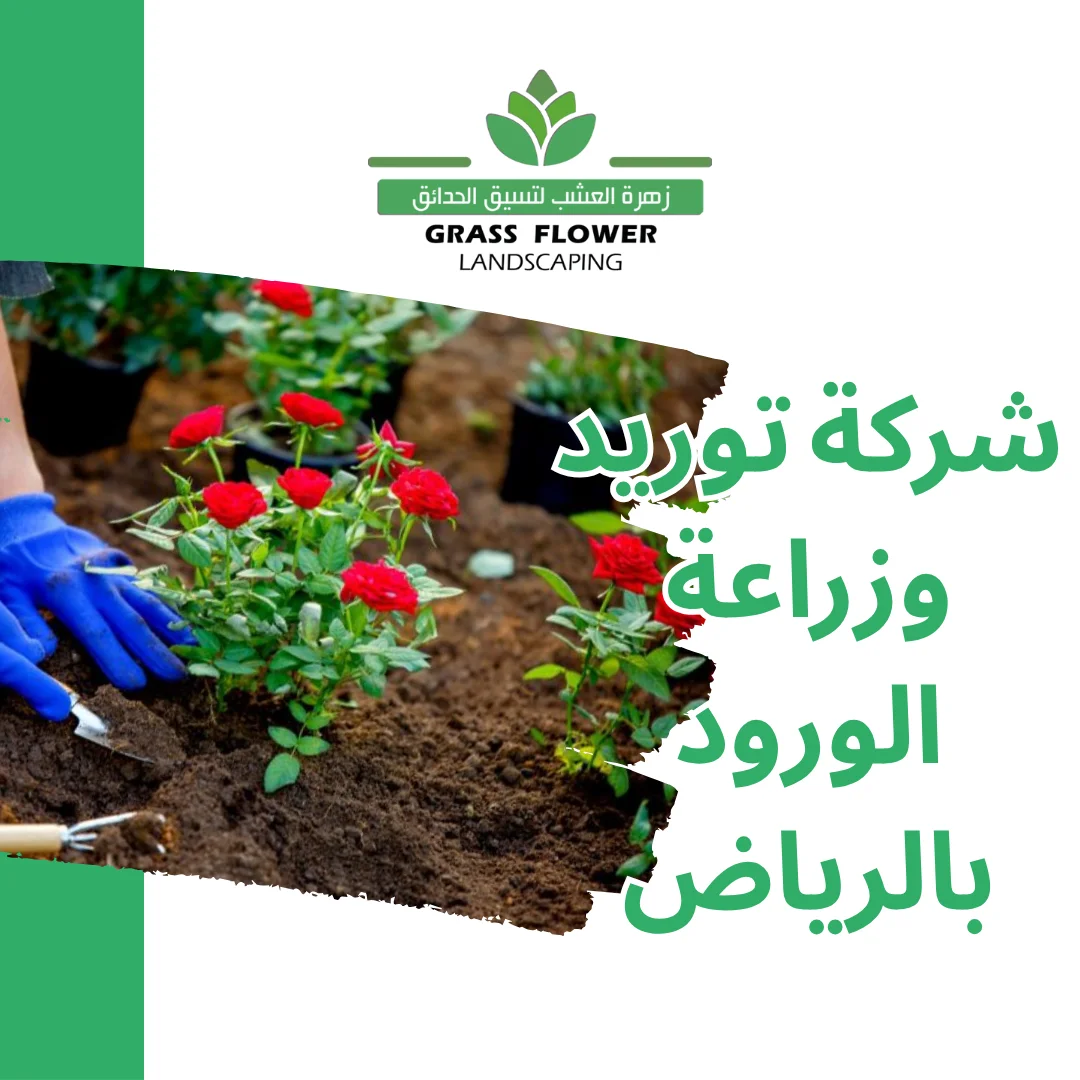 أرقام شركات توريد وزراعة الورود بالرياض