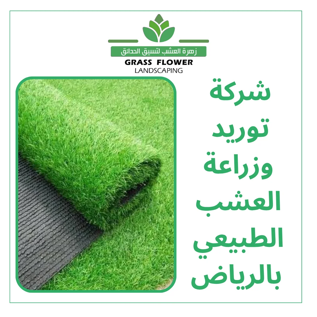أرقام شركات توريد وزراعة العشب الطبيعي بالرياض