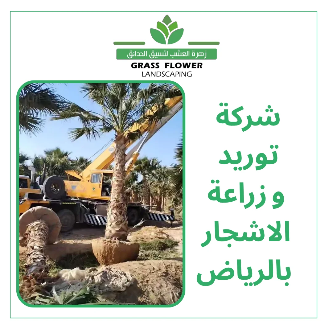 أرقام شركات توريد وزراعة الاشجار بالرياض