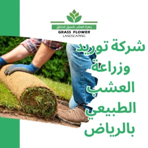 أرقام شركات توريد وزراعة العشب الطبيعي بالرياض