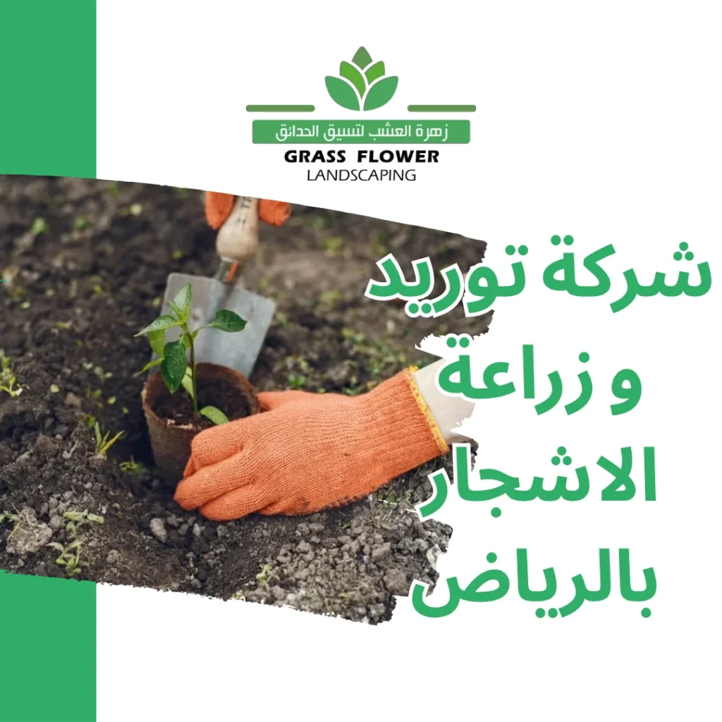 أرقام شركات توريد وزراعة الاشجار بالرياض