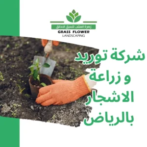 أرقام شركات توريد وزراعة الاشجار بالرياض