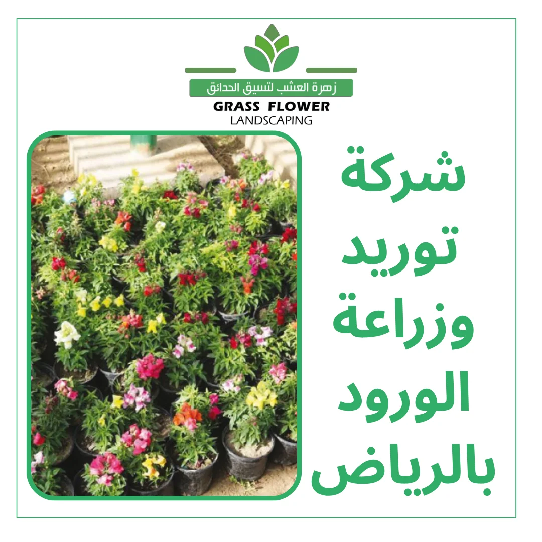 أرقام شركات توريد وزراعة الورود بالرياض