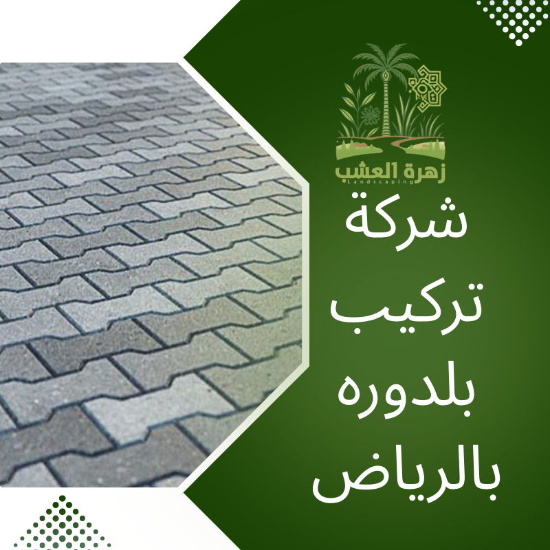 شركة تركيب بلدوره بالرياض