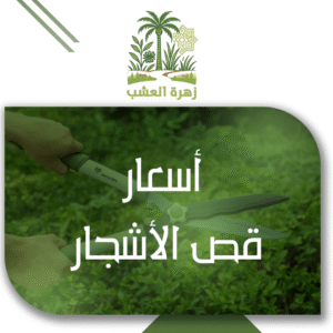 أسعار قص الأشجار في الرياض