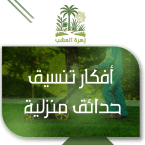 أفكار تنسيق حدائق منزلية بالرياض