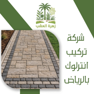 شركة تركيب انترلوك بالرياض