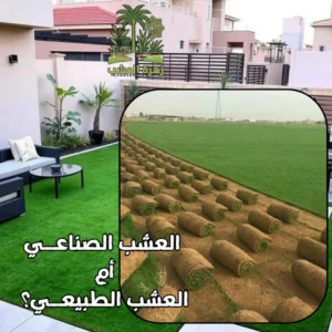 العشب الصناعي أم الطبيعي؟
