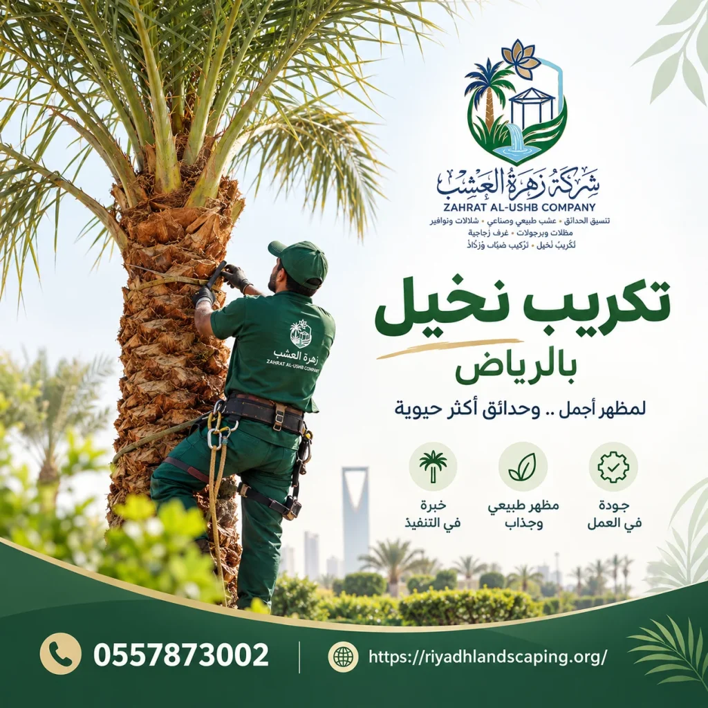شركة تكريب نخيل بالرياض بأفضل الأسعار