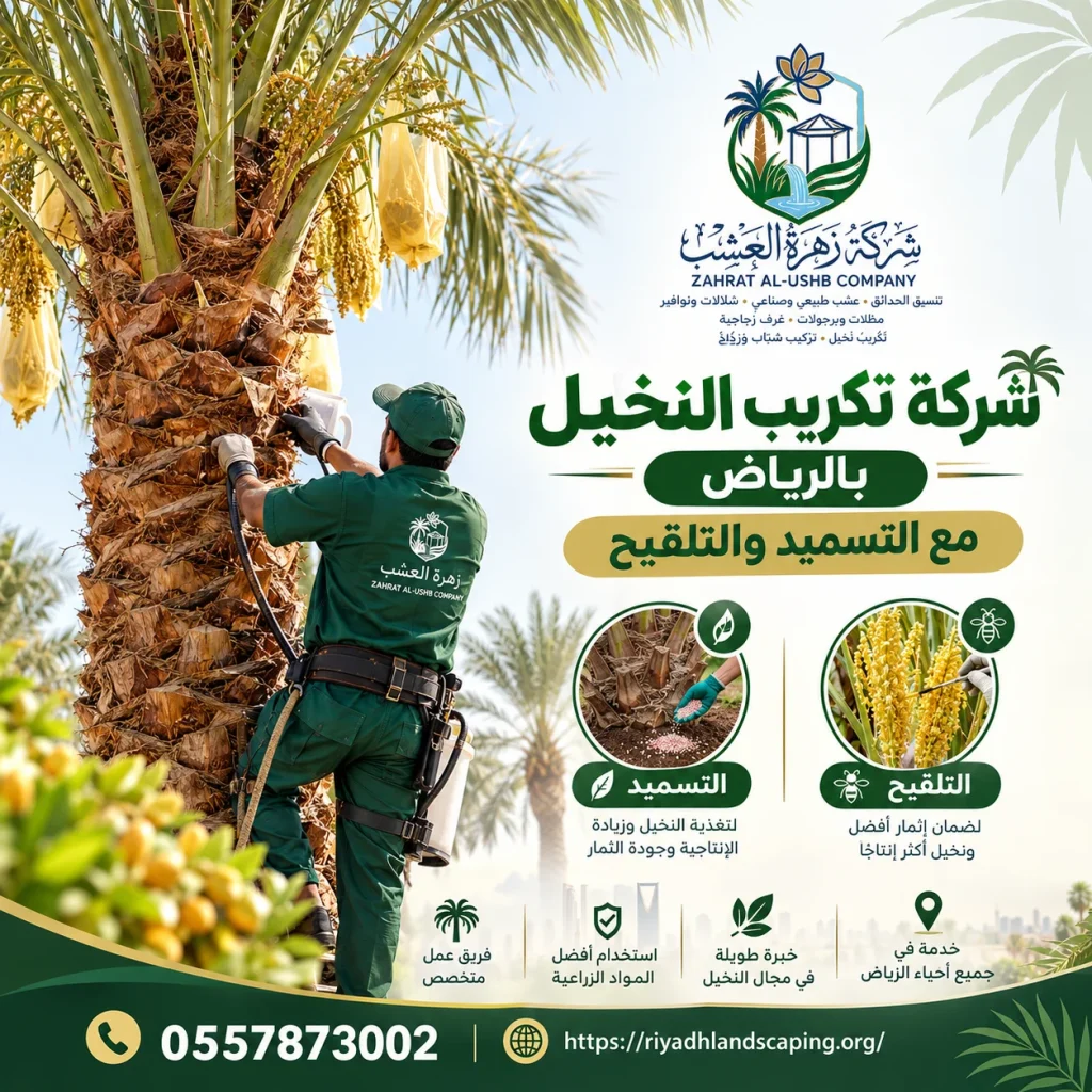 تكريب نخيل بالرياض تقليم السعف وتنظيف الجذوع ومكافحة سوسة النخيل