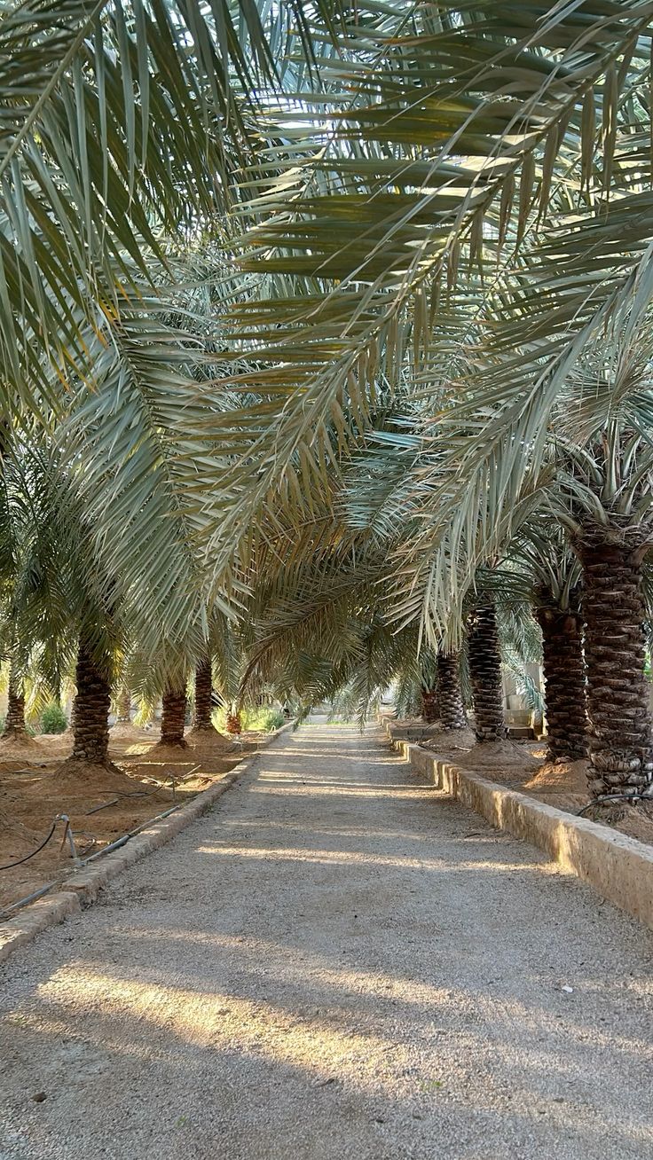 من أعمالنا في تنسيق الحدائق بالرياض، صورة 27